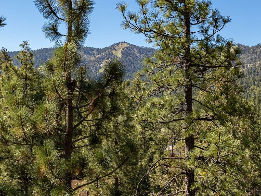 42713 Constellation Dr 42713 Constellation Dr