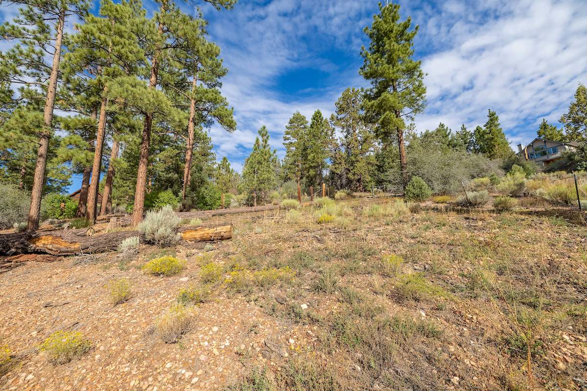 1037 Van Dusen Canyon Rd 1037 Van Dusen Canyon Rd