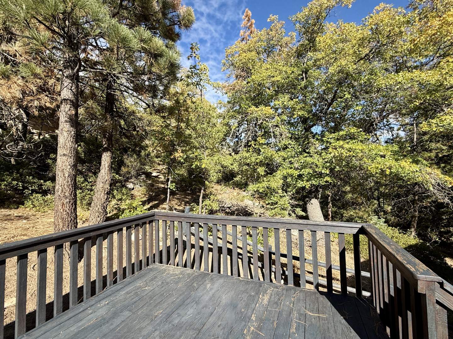 1442 Club View Dr 1442 Club View Dr