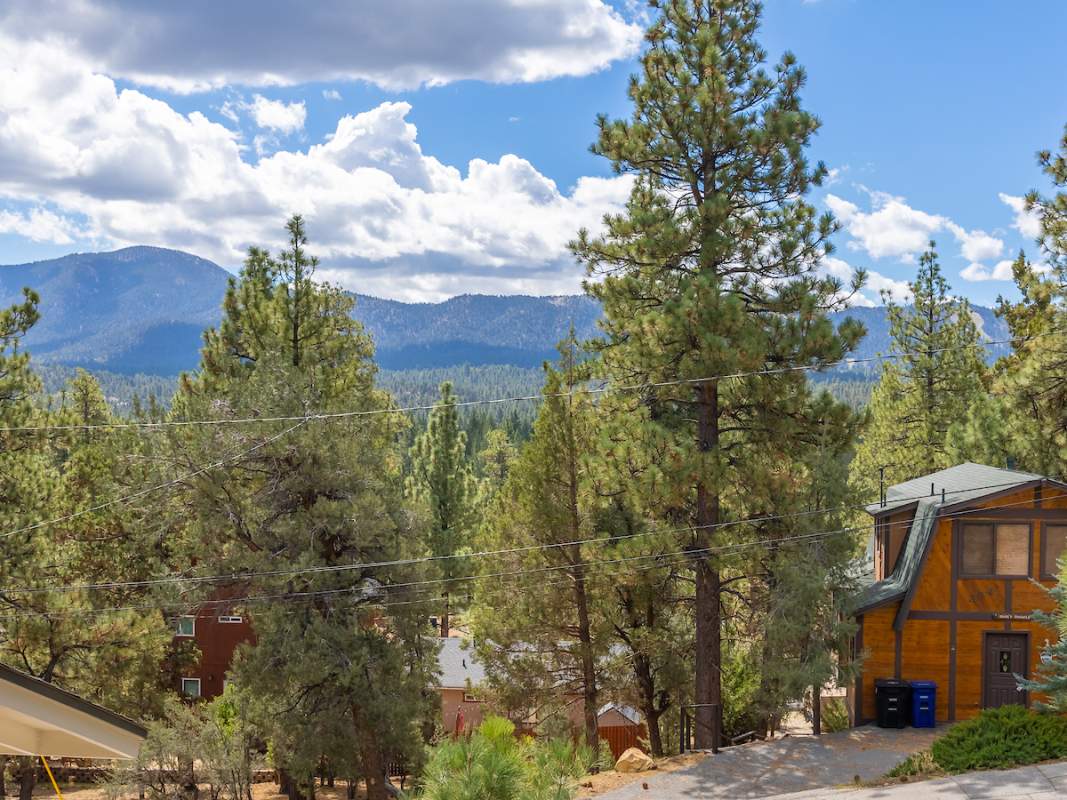 355 Mullins Dr 355 Mullins Dr