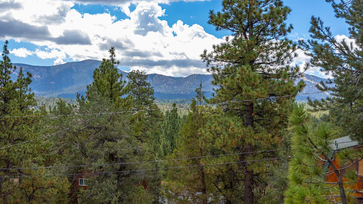 355 Mullins Dr 355 Mullins Dr