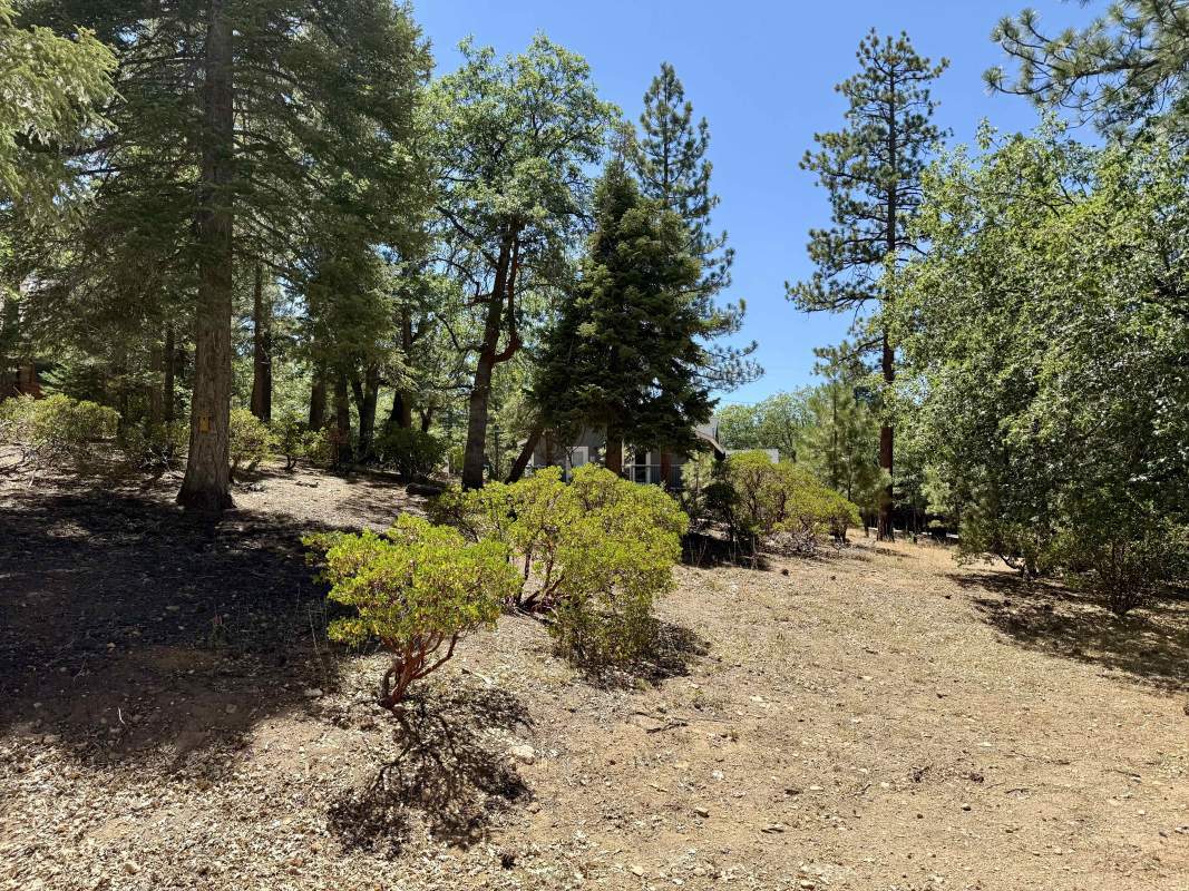 4C5A4F0D-4CC6-4668-A20C-3082F1363D8BIMG_0557 4C5A4F0D-4CC6-4668-A20C-3082F1363D8BIMG_0557